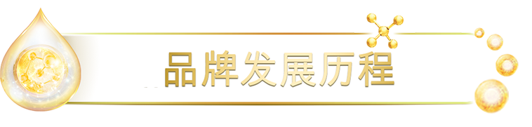 品牌發(fā)展歷程